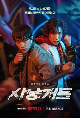 八面玲珑的申小姐